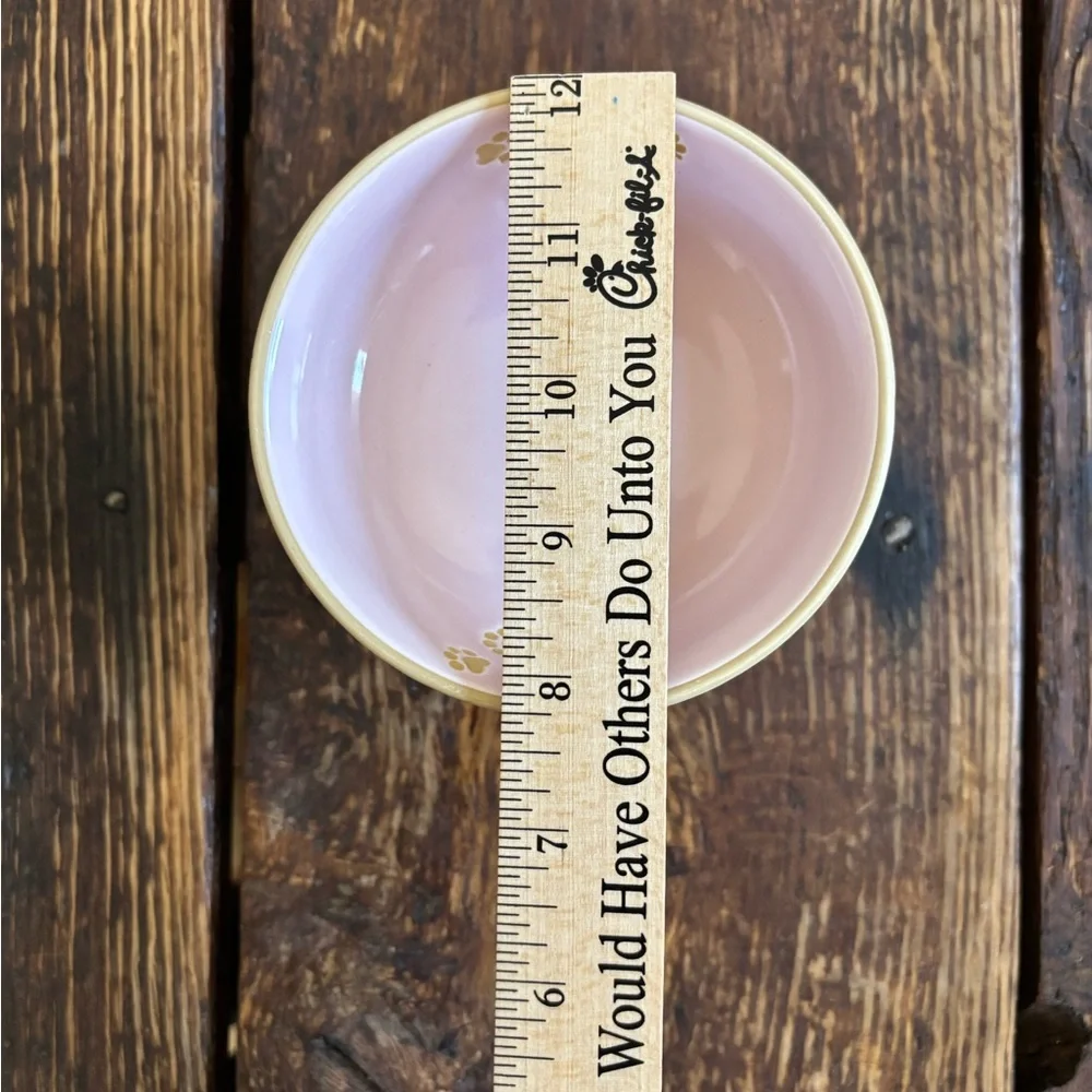 T.J.Maxx Pink and Gold Cat Bowl